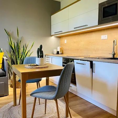 Myslbekova 16 Apartment Ostrava Exterior photo