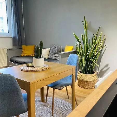 Myslbekova 16 Apartment Ostrava Exterior photo