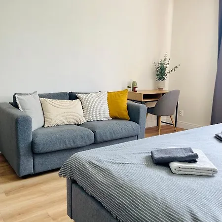 Myslbekova 16 Apartment Ostrava Exterior photo