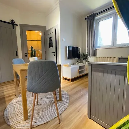 Myslbekova 16 Apartment Ostrava Exterior photo