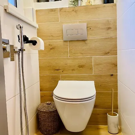 Myslbekova 16 Apartment Ostrava Exterior photo