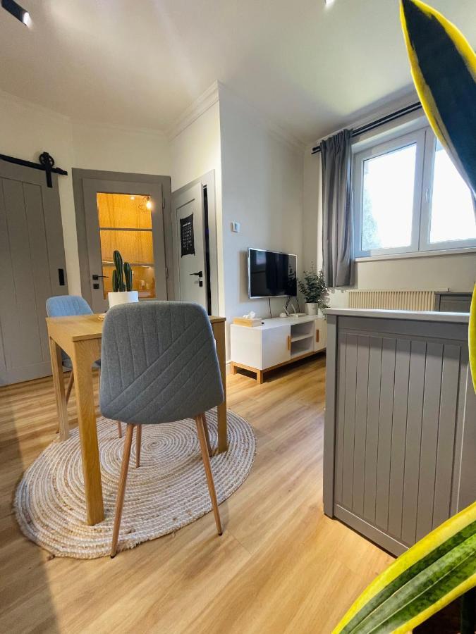 Apartment Myslbekova 16 *